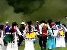 普米族歌曲 团聚舞舞蹈