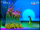 吉祥孔雀 傣族舞蹈 民族舞现场表演