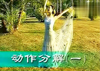 傣族舞蹈 月光下的凤尾竹 分解动作 正面 反面 侧面 教学视频
