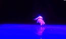 藏族舞蹈 酥油灯芯 男子独舞视频