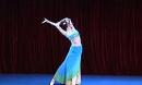 傣族舞蹈 彩云之南 舞蹈教学示范视频 任龙飞
